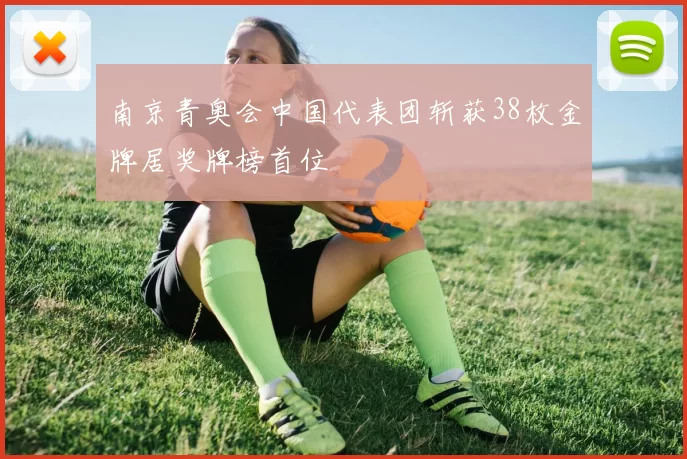 南京青奥会中国代表团斩获38枚金牌居奖牌榜首位
